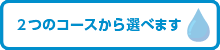 ２つのコースから選べます